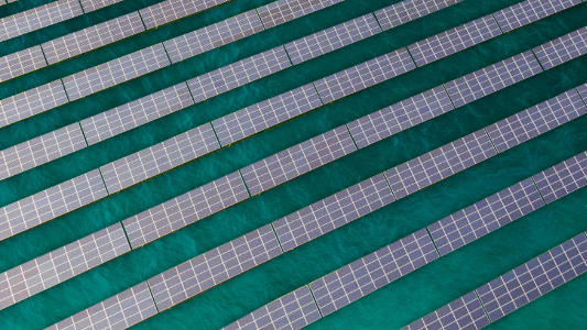 ROGBET荣记·(中国)集团